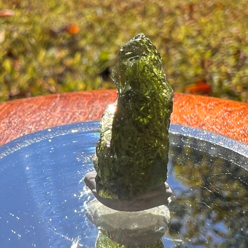 Moldavite 2.5 grams #1710-Moldavite Life