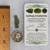 Moldavite 1.4 grams #1711-Moldavite Life