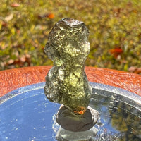 Moldavite 1.6 grams #1712-Moldavite Life