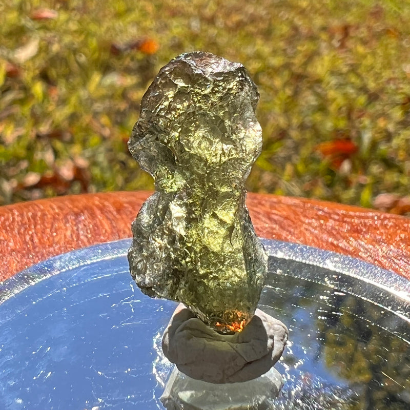 Moldavite 1.6 grams #1712-Moldavite Life