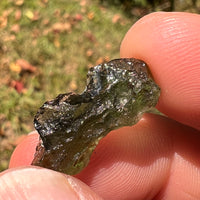 Moldavite 1.6 grams #1712-Moldavite Life