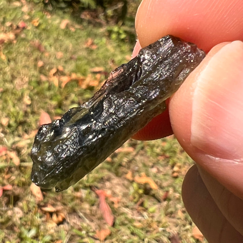 Moldavite 2.6 grams #1713-Moldavite Life