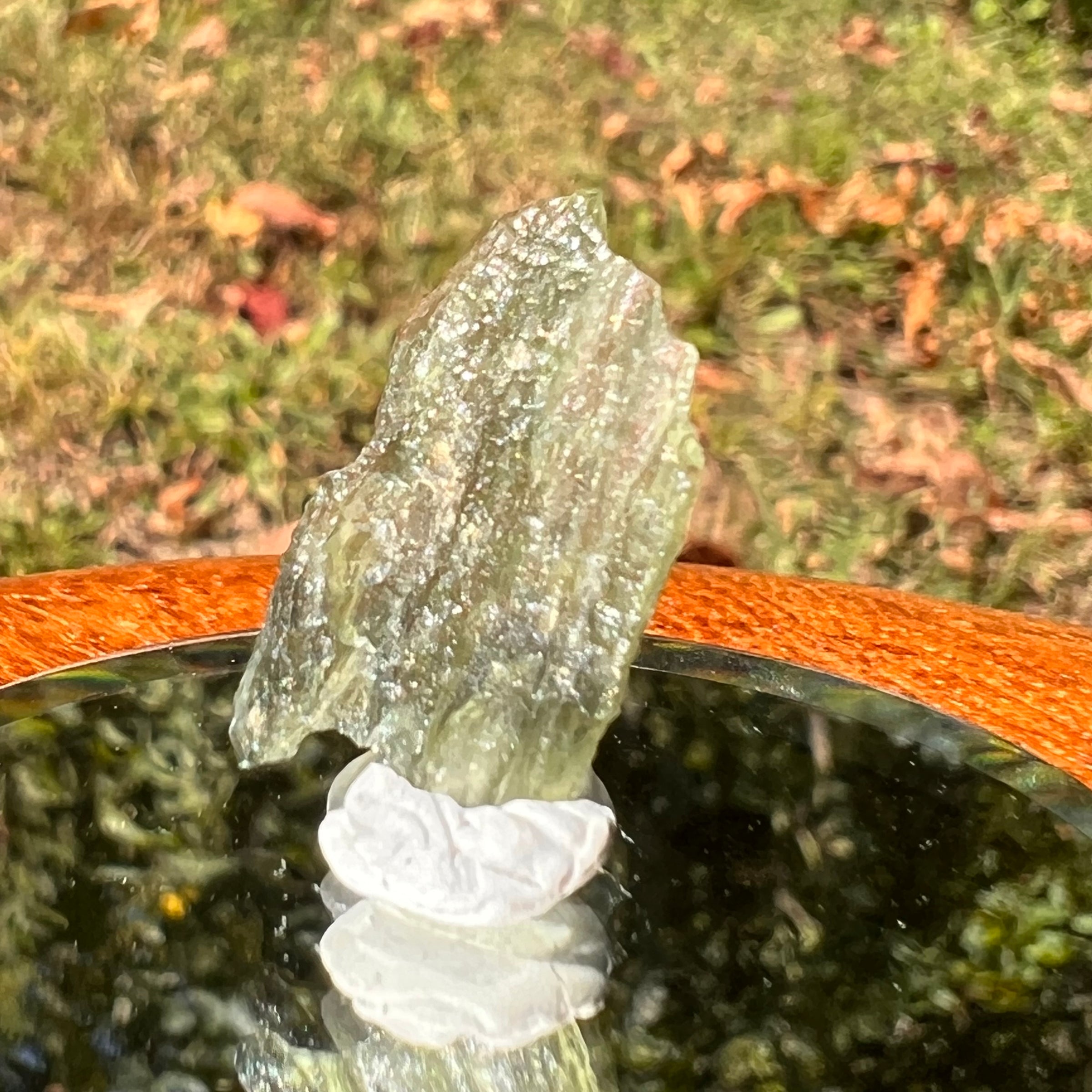 Moldavite 0.6 grams #1715-Moldavite Life