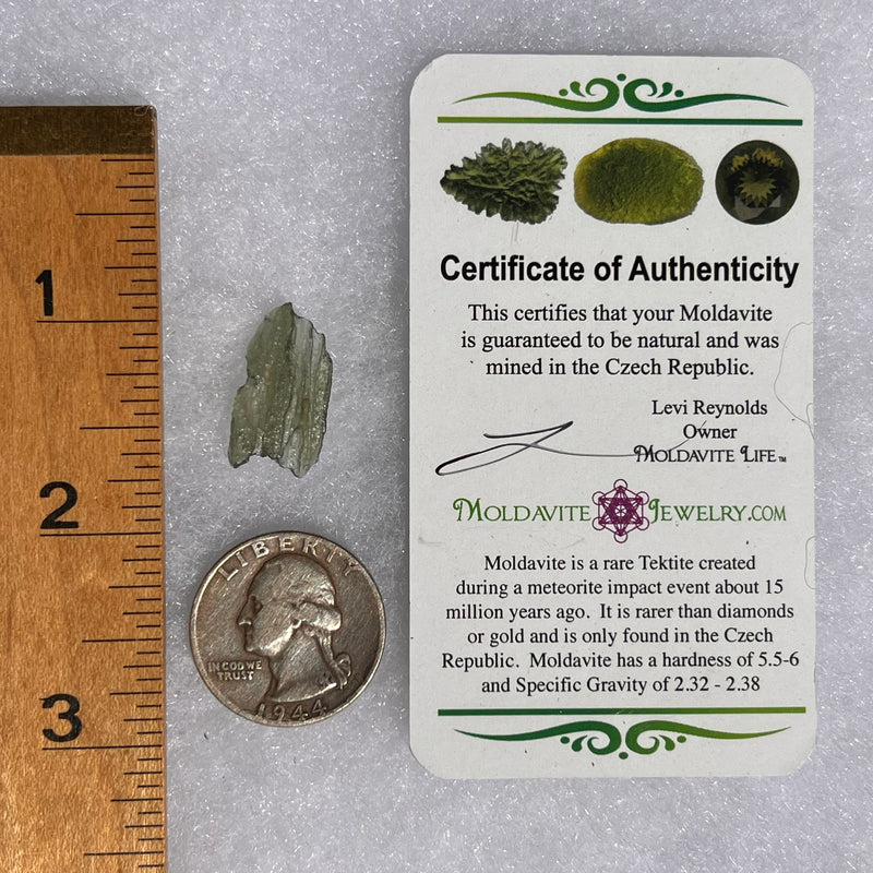 Moldavite 0.6 grams #1715-Moldavite Life