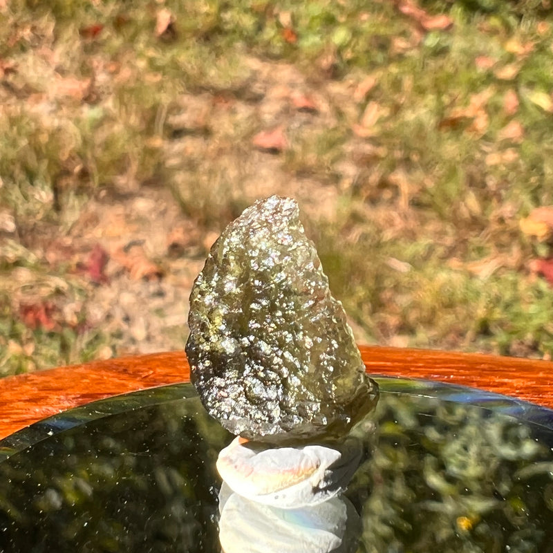 Moldavite 0.7 grams #1716-Moldavite Life