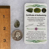 Moldavite 0.7 grams #1716-Moldavite Life