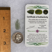 Moldavite 0.5 grams #1717-Moldavite Life