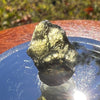 Moldavite 1.1 grams #1718-Moldavite Life