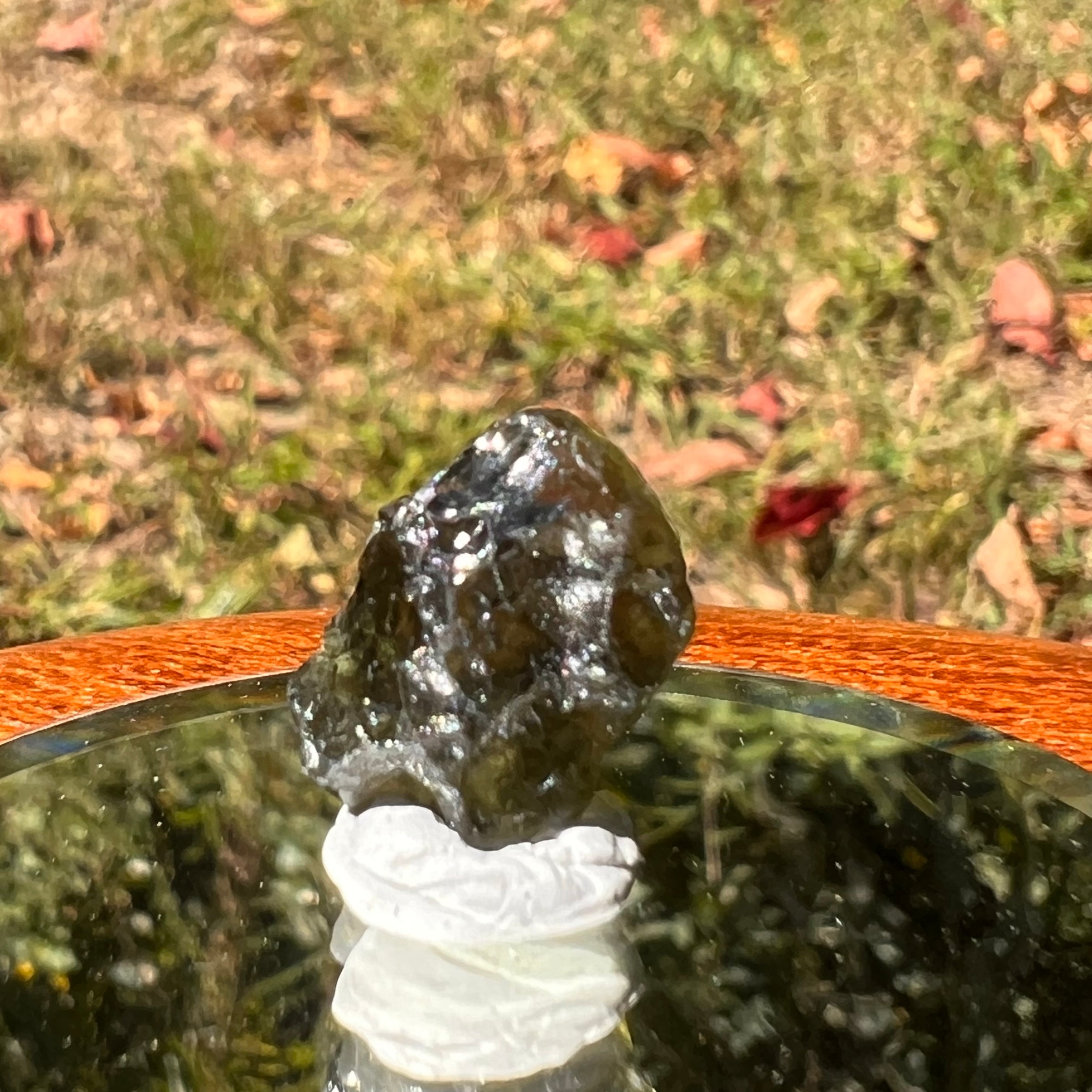 Moldavite 1.1 grams #1718-Moldavite Life