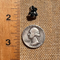 Irgizite Pendant Sterling Silver #8308-Moldavite Life