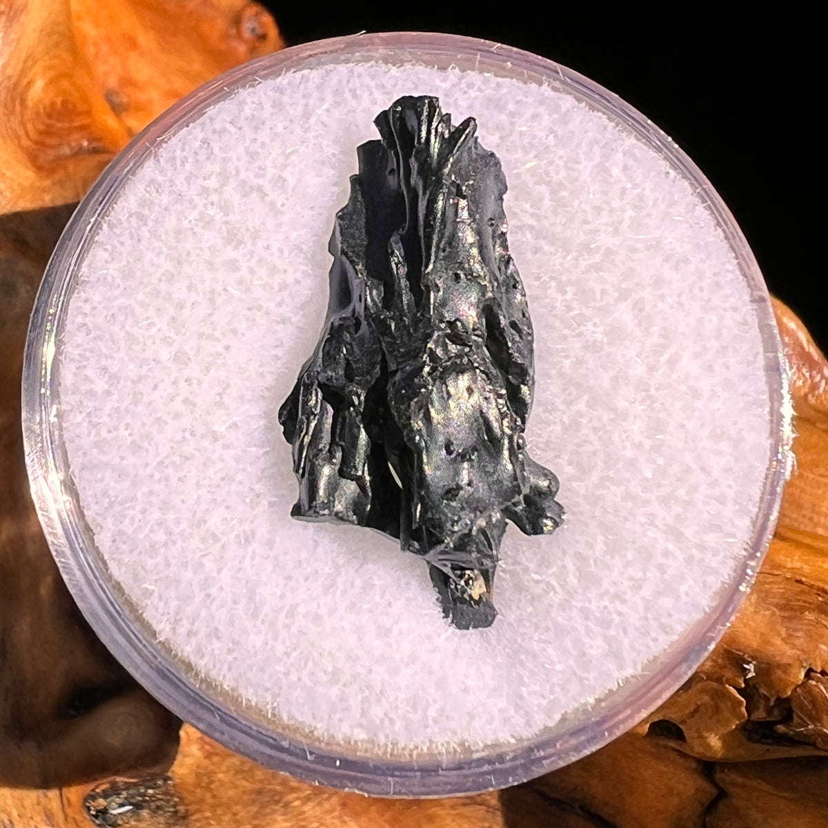 Irgizite Tektite #100-Moldavite Life