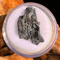 Irgizite Tektite #101-Moldavite Life