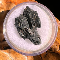 Irgizite Tektite #101-Moldavite Life