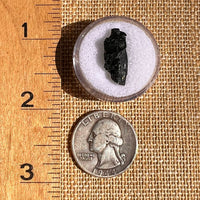 Irgizite Tektite #102-Moldavite Life