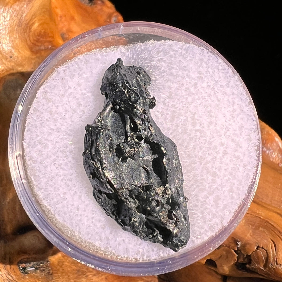 Irgizite Tektite #103-Moldavite Life