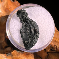 Irgizite Tektite #103-Moldavite Life