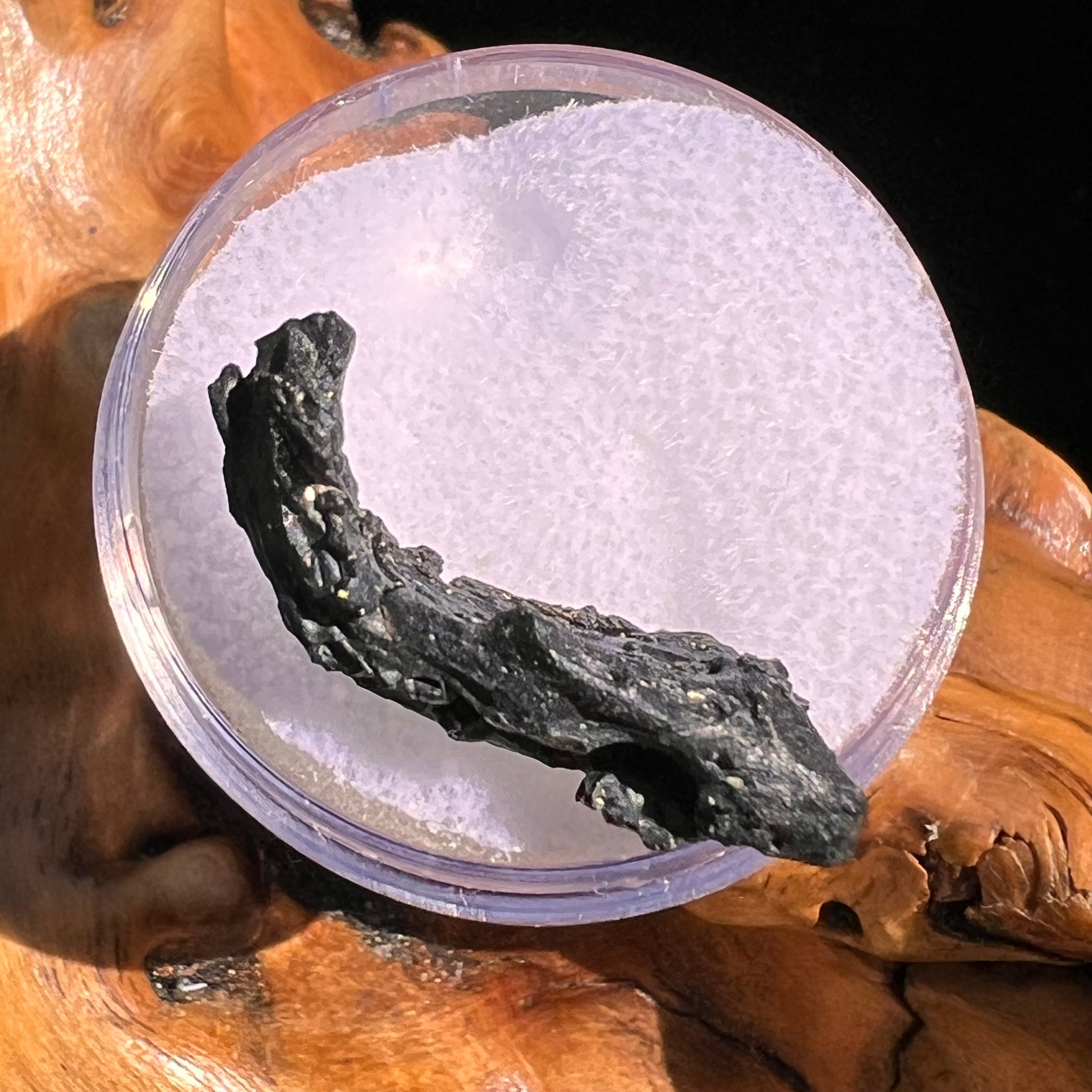 Irgizite Tektite #103-Moldavite Life