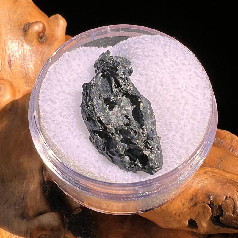 Irgizite Tektite #103-Moldavite Life