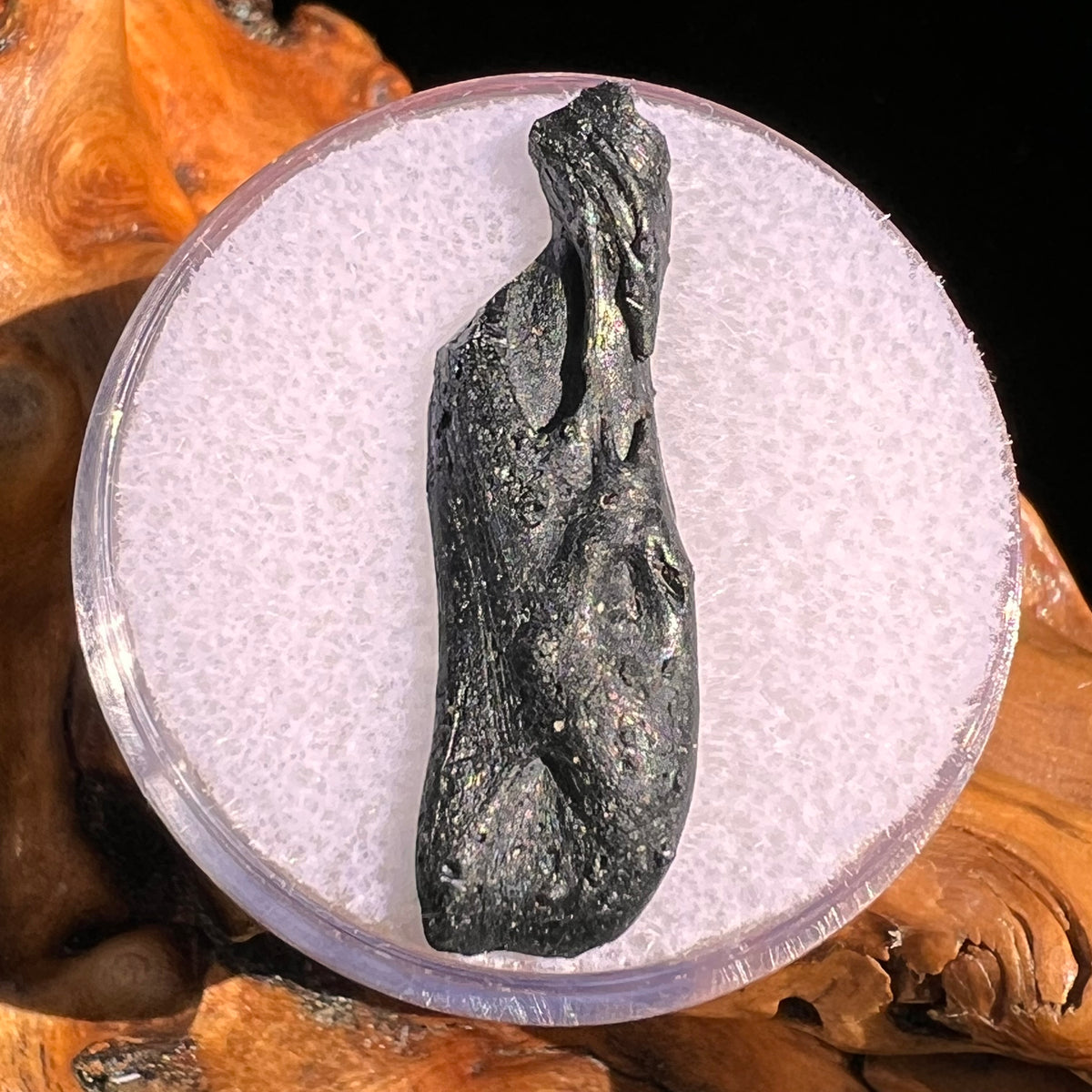 Irgizite Tektite #104-Moldavite Life