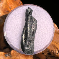 Irgizite Tektite #104-Moldavite Life