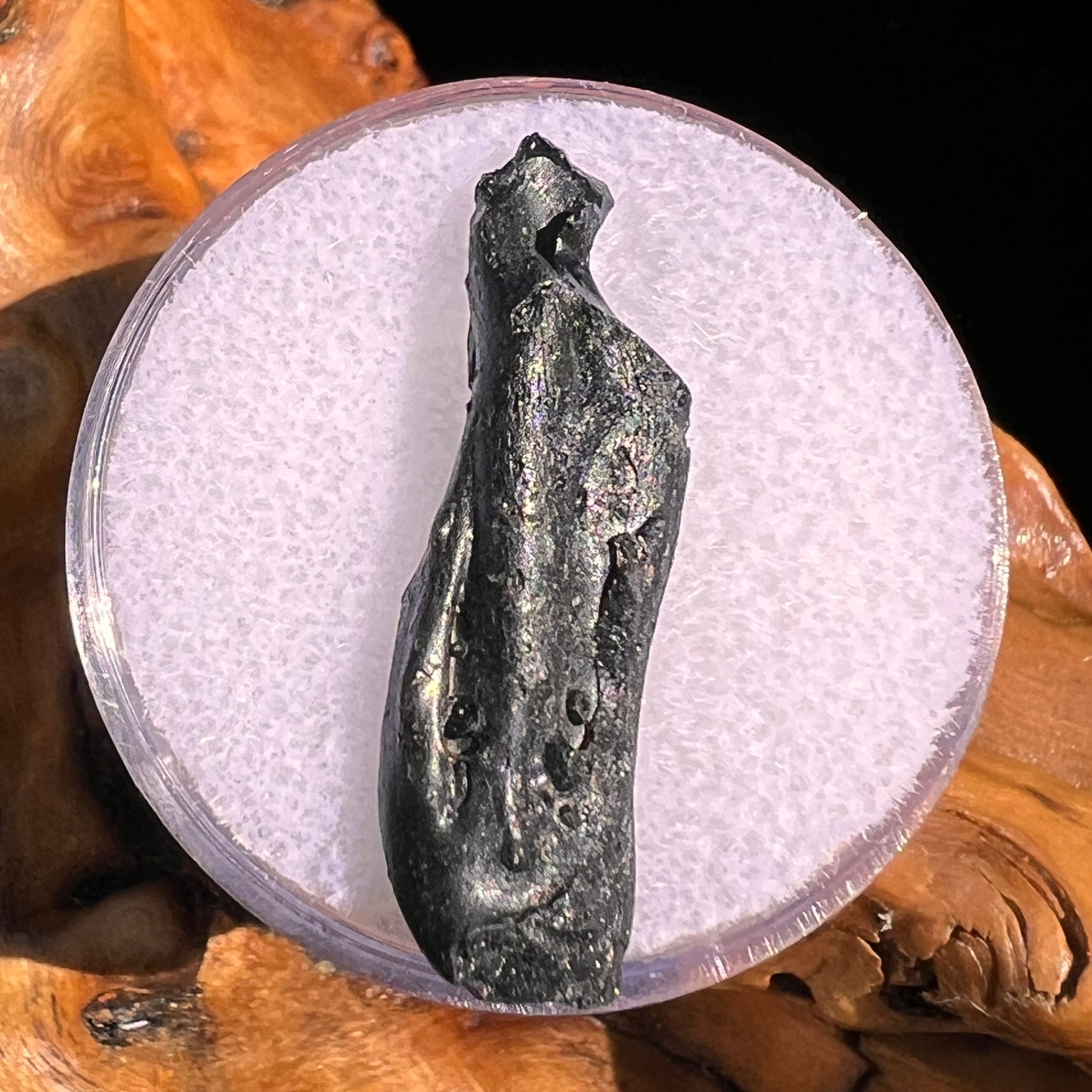 Irgizite Tektite #104-Moldavite Life