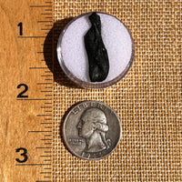 Irgizite Tektite #104-Moldavite Life