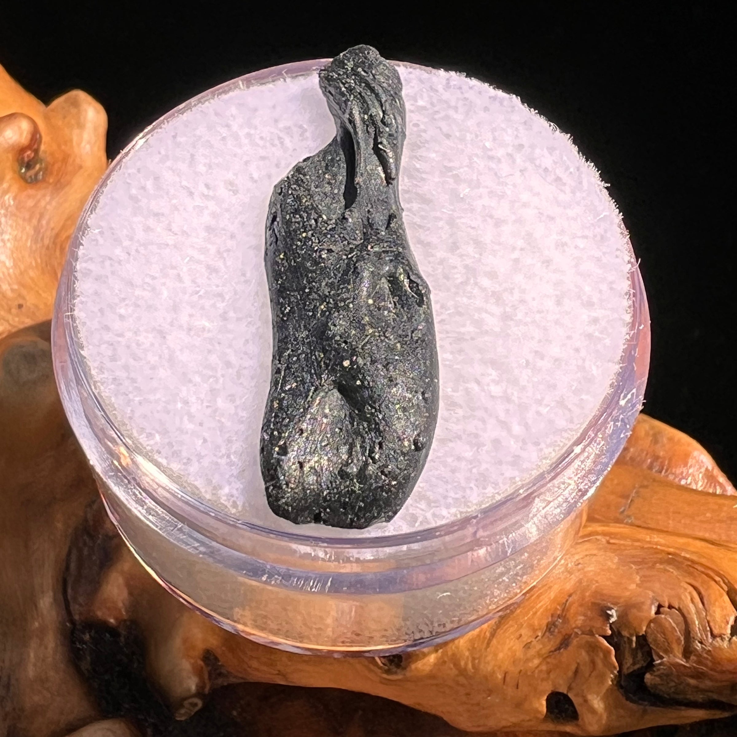 Irgizite Tektite #104-Moldavite Life