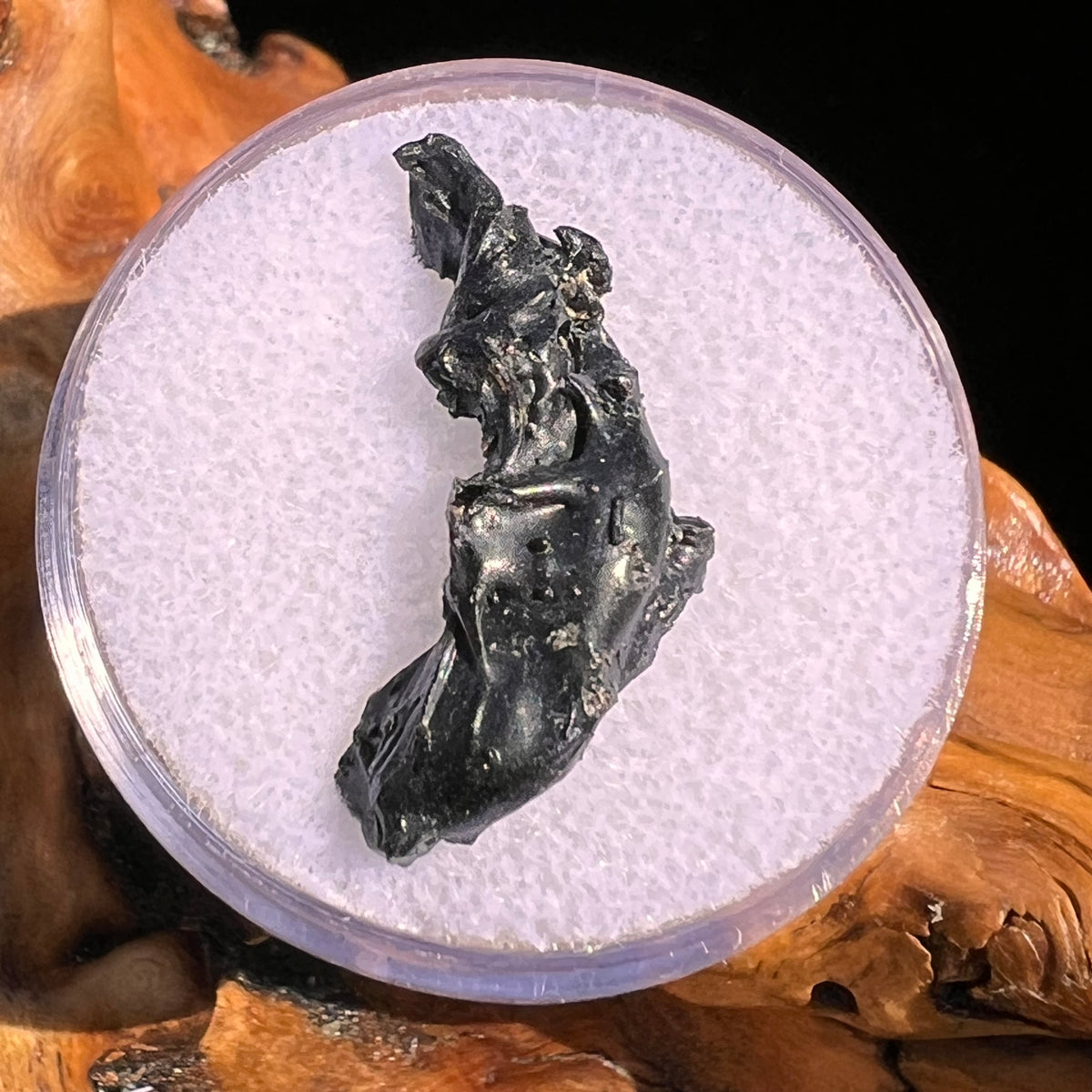 Irgizite Tektite #105-Moldavite Life