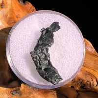 Irgizite Tektite #105-Moldavite Life