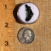 Irgizite Tektite #105-Moldavite Life