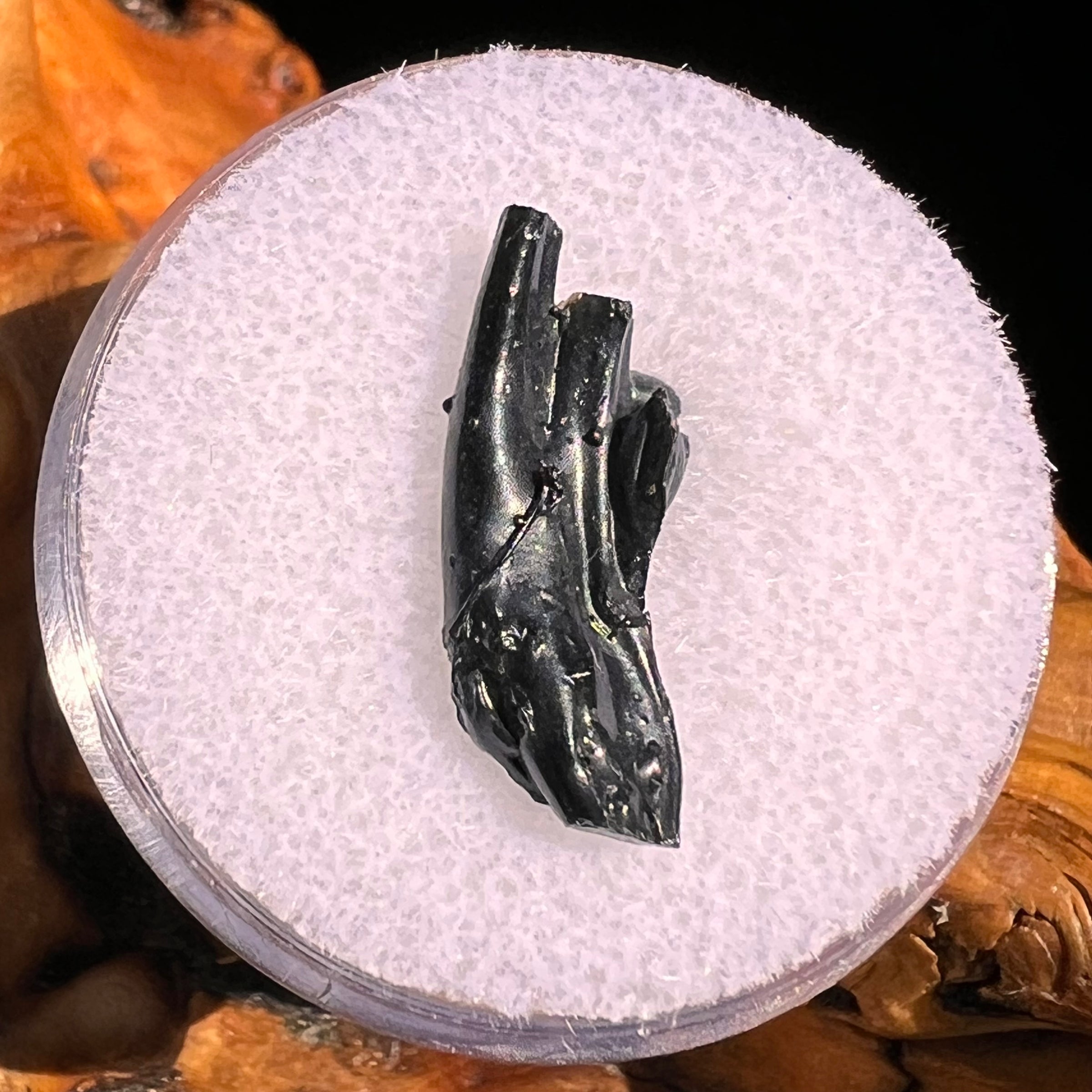 Irgizite Tektite #106-Moldavite Life