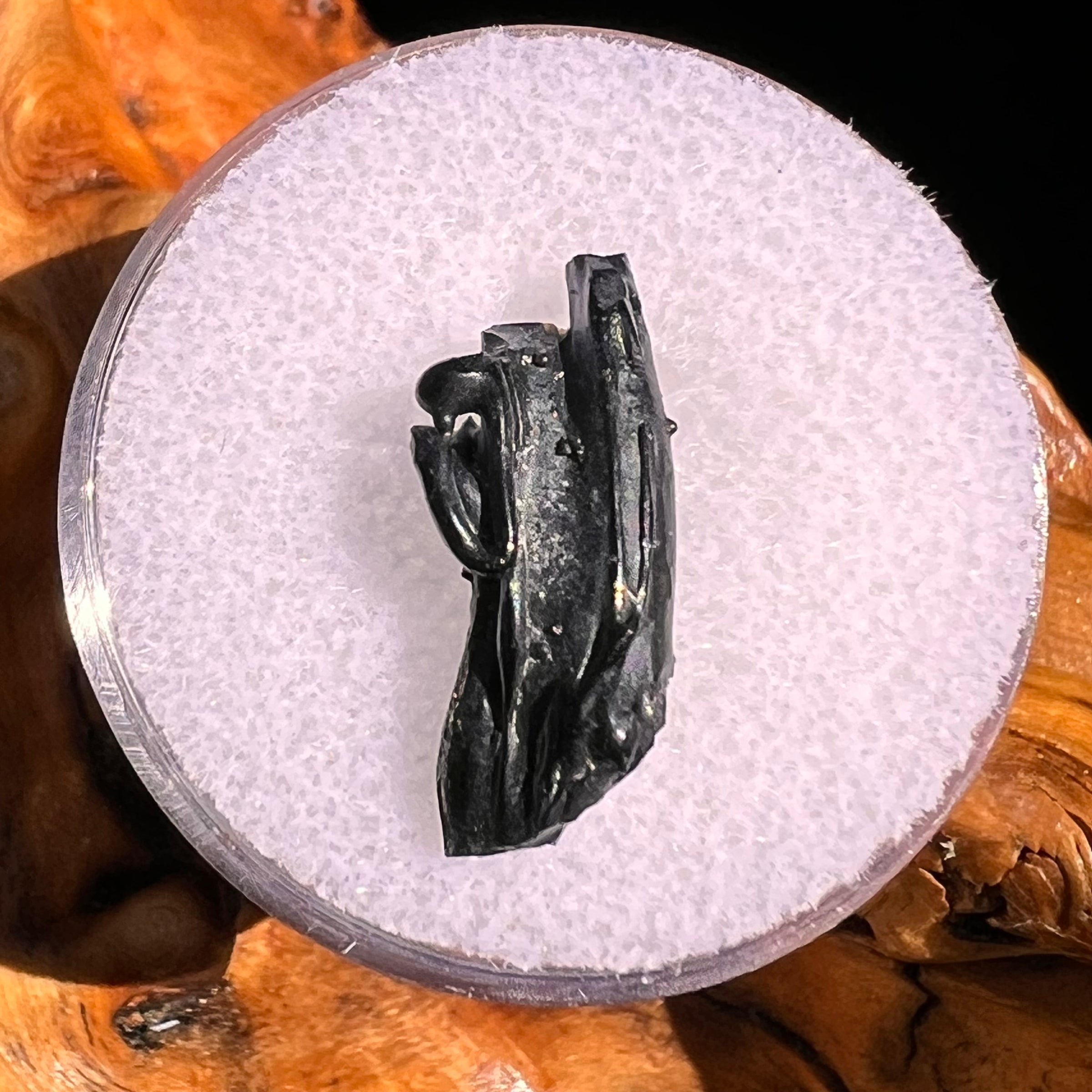 Irgizite Tektite #106-Moldavite Life