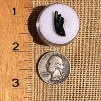 Irgizite Tektite #106-Moldavite Life
