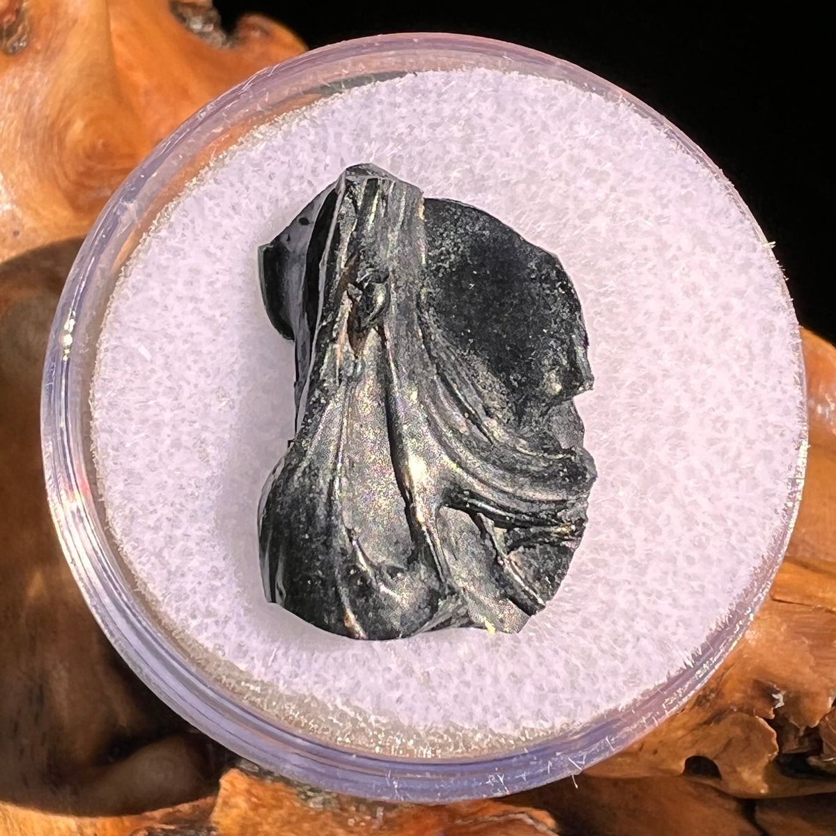 Irgizite Tektite #107-Moldavite Life