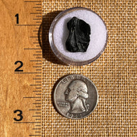 Irgizite Tektite #107-Moldavite Life