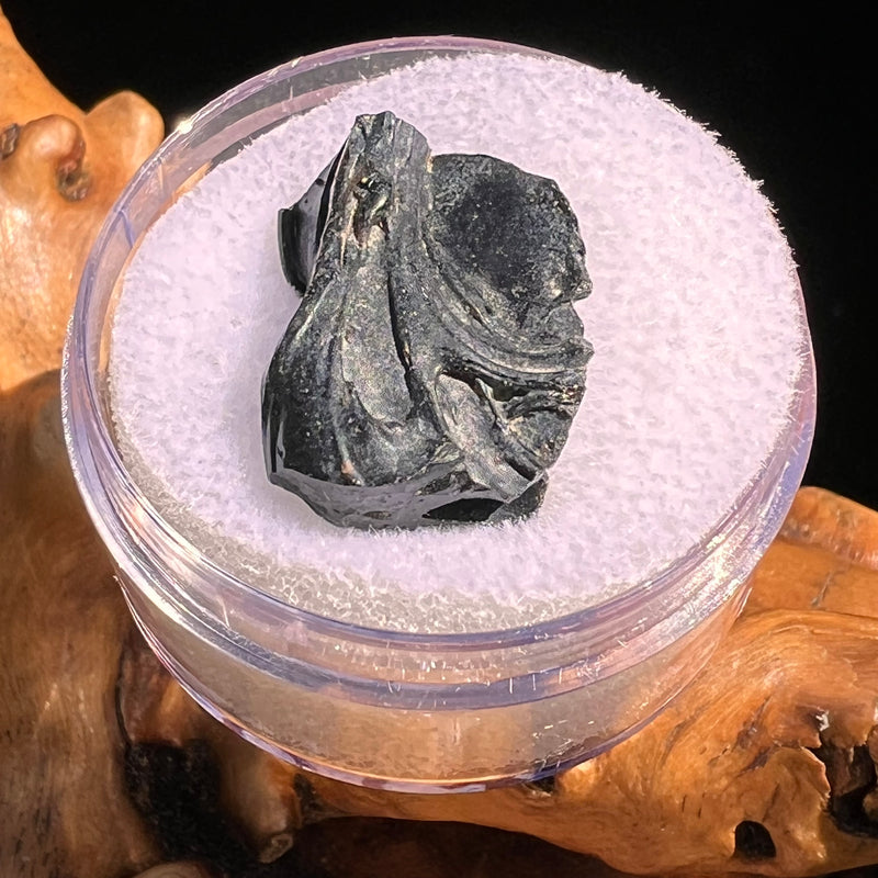 Irgizite Tektite #107-Moldavite Life
