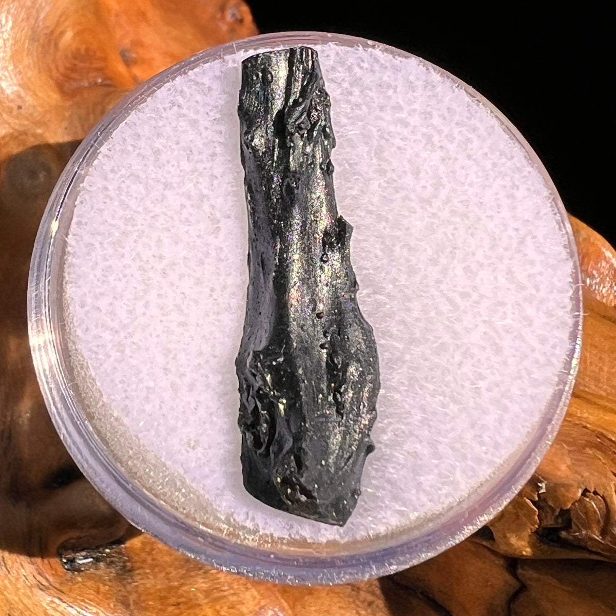 Irgizite Tektite #108-Moldavite Life