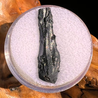 Irgizite Tektite #108-Moldavite Life
