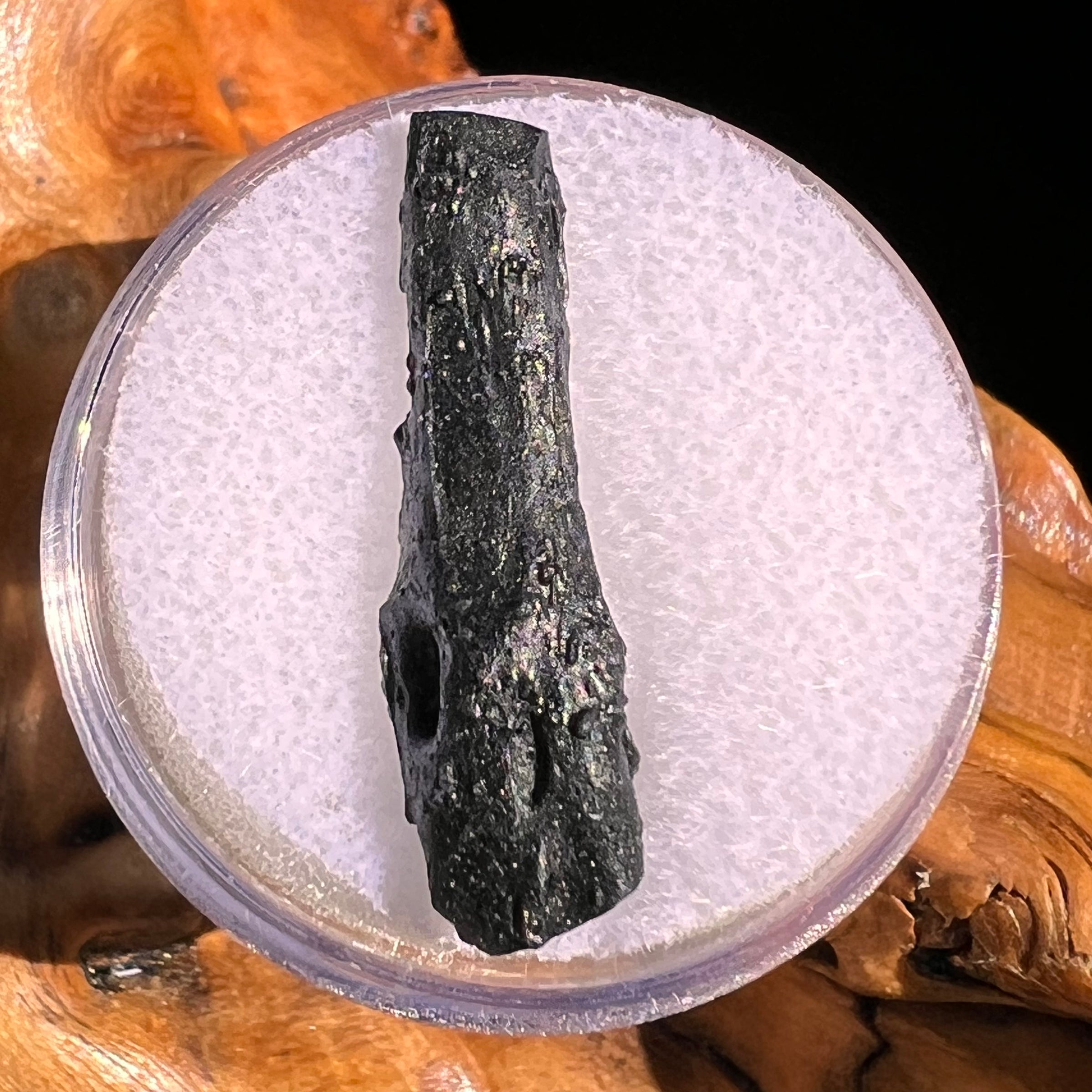 Irgizite Tektite #108-Moldavite Life
