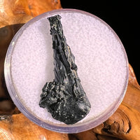 Irgizite Tektite #109-Moldavite Life