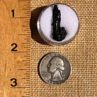 Irgizite Tektite #109-Moldavite Life