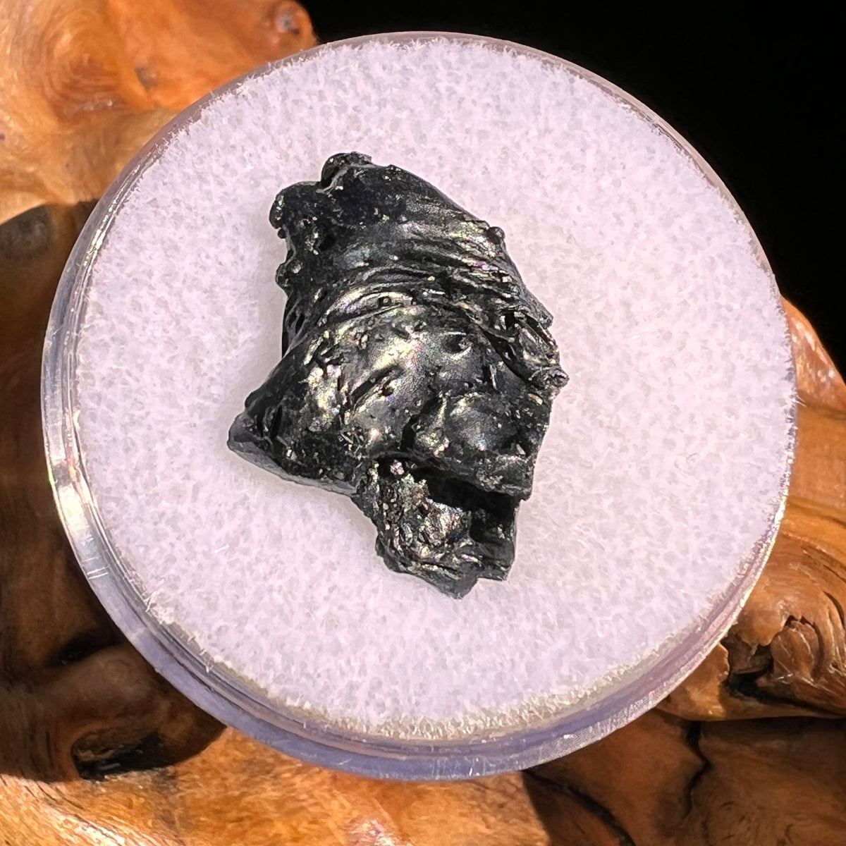 Irgizite Tektite #110-Moldavite Life