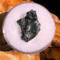Irgizite Tektite #110-Moldavite Life