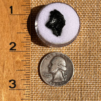 Irgizite Tektite #110-Moldavite Life