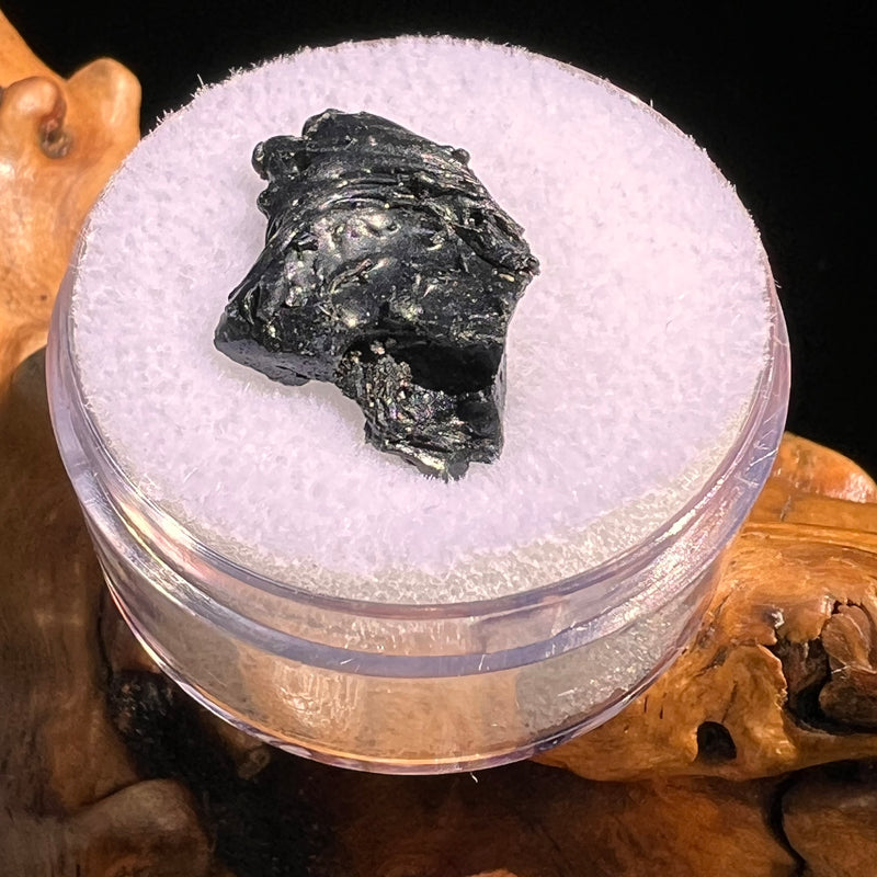 Irgizite Tektite #110-Moldavite Life