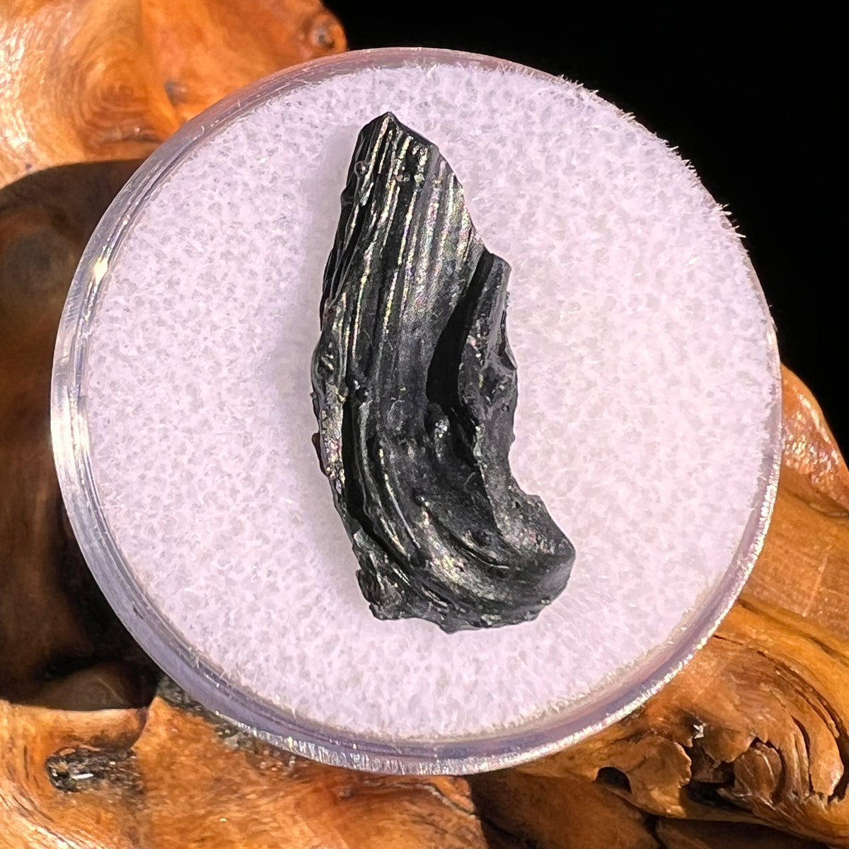 Irgizite Tektite #111-Moldavite Life