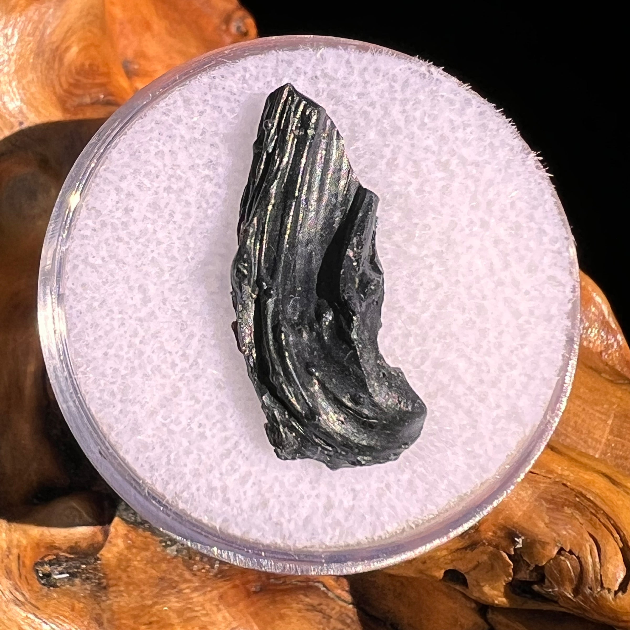 Irgizite Tektite #111-Moldavite Life