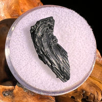 Irgizite Tektite #111-Moldavite Life