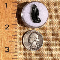 Irgizite Tektite #111-Moldavite Life