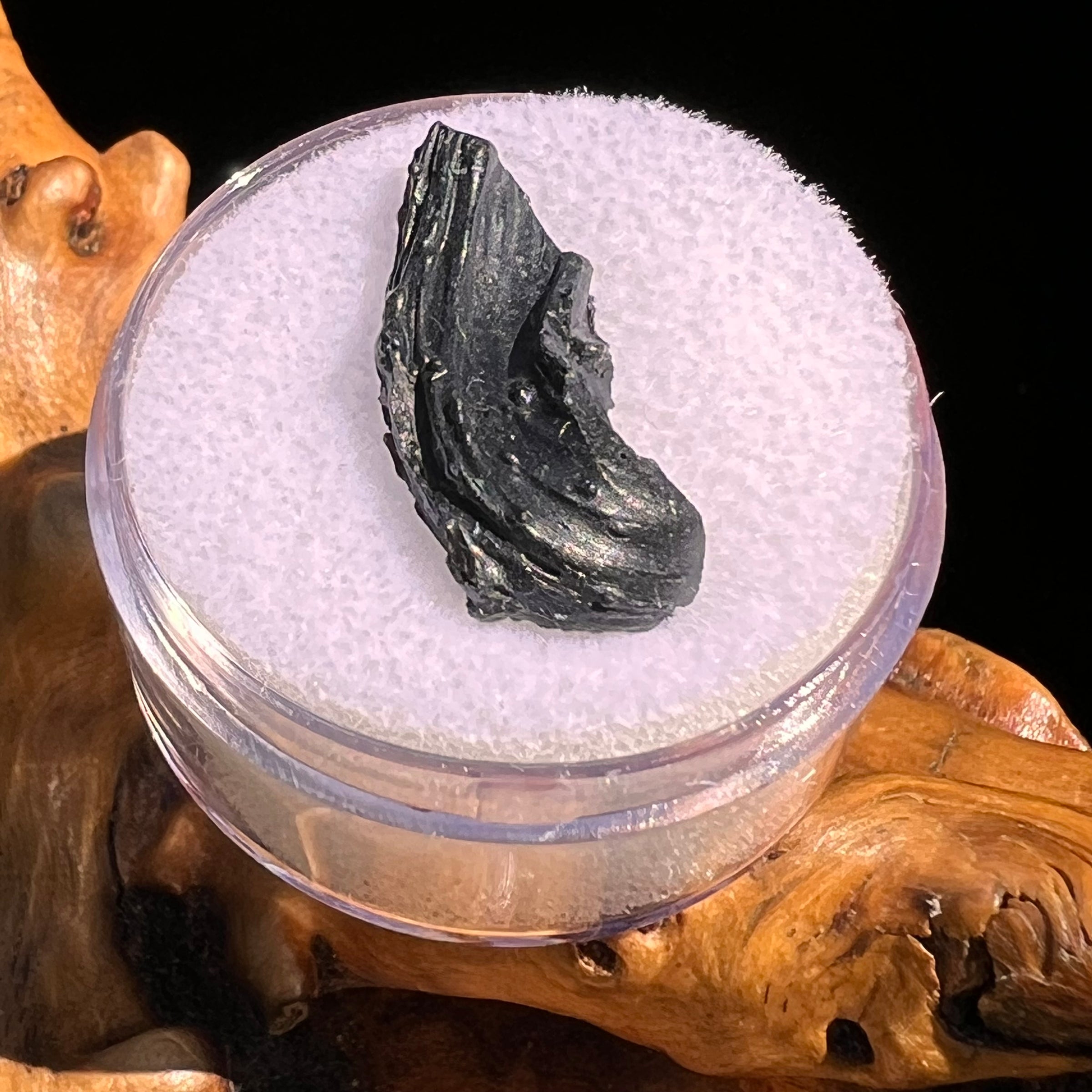 Irgizite Tektite #111-Moldavite Life